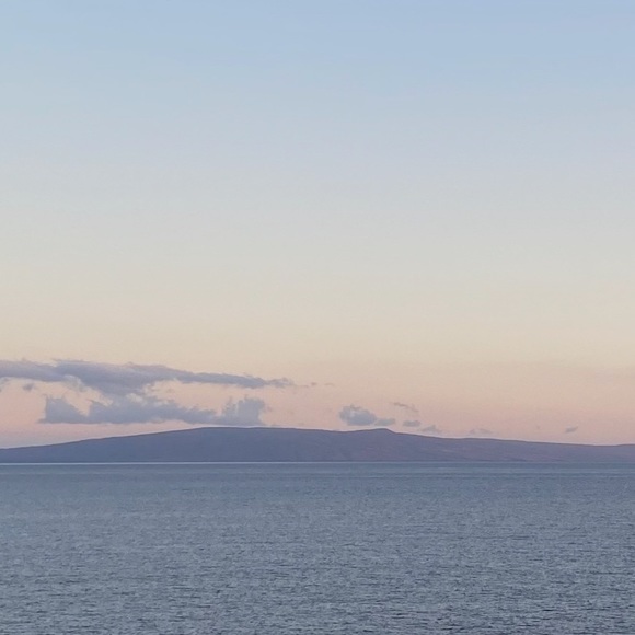 Meet your Posher, Katelyn - Picture 1 of 1